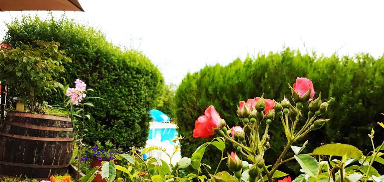 Mandel Fahazak Hotel ปาลอซนัค ภายนอก รูปภาพ
